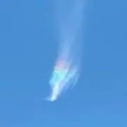 フラワー