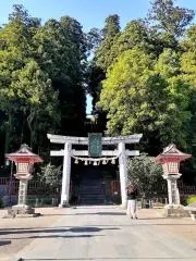 まめの画像
