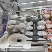 ビーズオバサンの画像