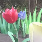 ♪