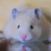 えっぴ