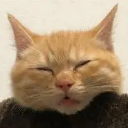 まっちゃん
