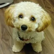 YUKA
