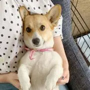 くららの画像