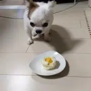 シオン