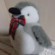 ゆかしゃんしゃん