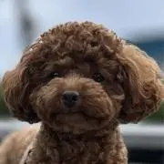 みっちゃん