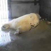 かっちゃん
