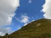 tsumの画像