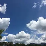 いちの画像