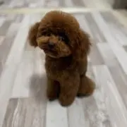 めりる