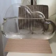 くもこの画像