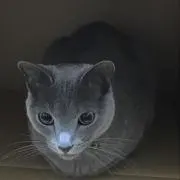 そらら