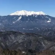 81の画像