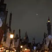 スコフィールドの画像