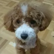 みなりン♪