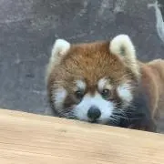 まいり