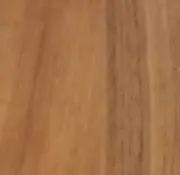 サスケの画像
