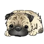 ＊ウラン＊の画像