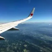 くまこの画像