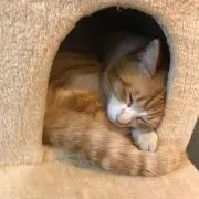 ♡まあたみみ♡