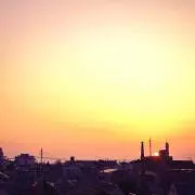 やぎ