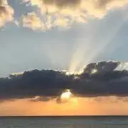 matsukoの画像