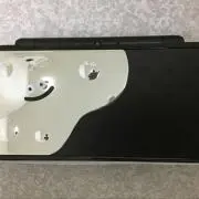 モリの画像