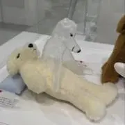 uの画像