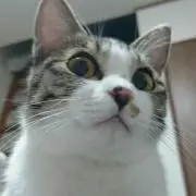 ひろおか