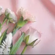 ☆macco☆の画像