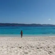 T.12の画像