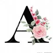 Amyの画像