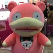 やどん