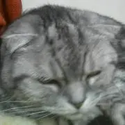 ほしの画像