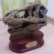 などりの画像