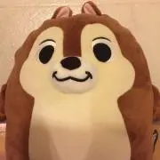 えめまるの画像