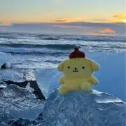ポムポムプリン