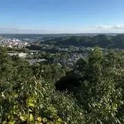 tomo