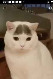 くろ☆プロフ一読ください☆の画像