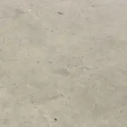 渡辺隆二の画像