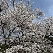 takaDの画像