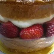 mimosaの画像