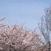 Runtouの画像