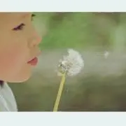 ゆっきーの画像