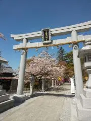 シャルレ.ワールドコラボ