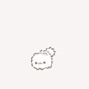 ♡ぴずちゃん♡の画像