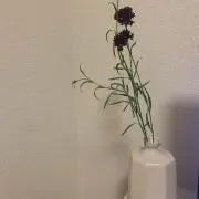 Nana'sの画像