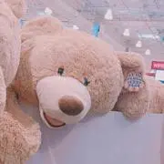 ℋ 週明けまでお値下げ中の画像