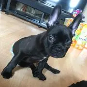 みーちゃん